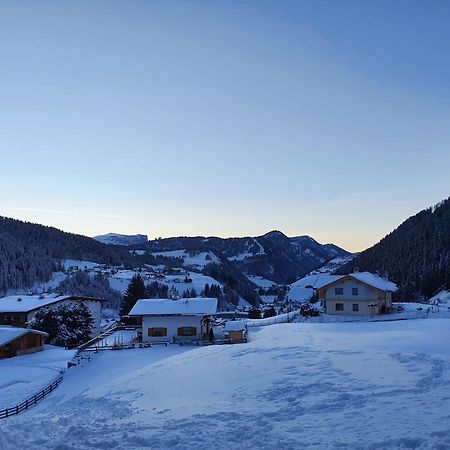 Appartamento Dolomiti Σέλβα ντι Βαλ Γκαρντένα Εξωτερικό φωτογραφία