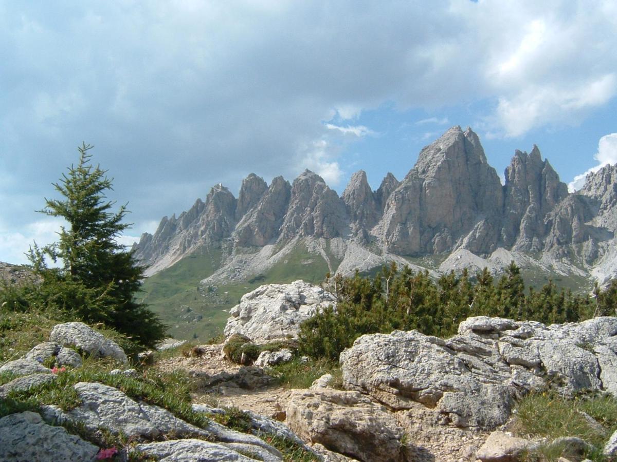 Appartamento Dolomiti Σέλβα ντι Βαλ Γκαρντένα Εξωτερικό φωτογραφία